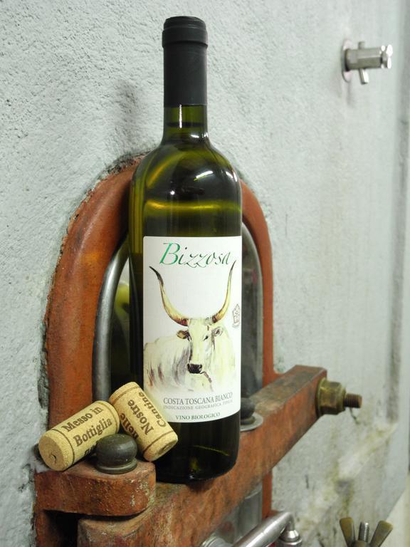 Podere Oslavia Az.Agr.Bio Giannini Alberese Exterior foto