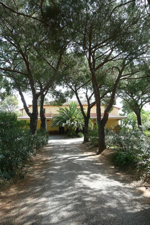 Podere Oslavia Az.Agr.Bio Giannini Alberese Exterior foto